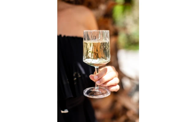 Berger Weinglas 2er Set – Bild 4