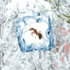 Swissinno Insekten Frostspray - Insektizidfrei-